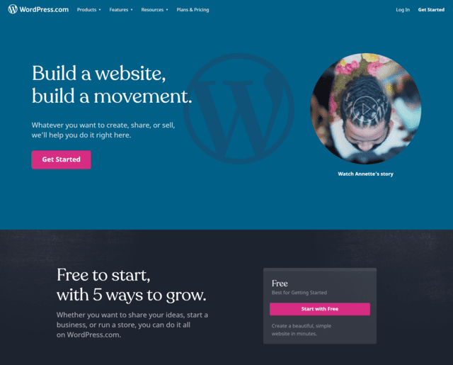 Wordpress mājas lapa